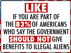 Illegal Immigration Facts